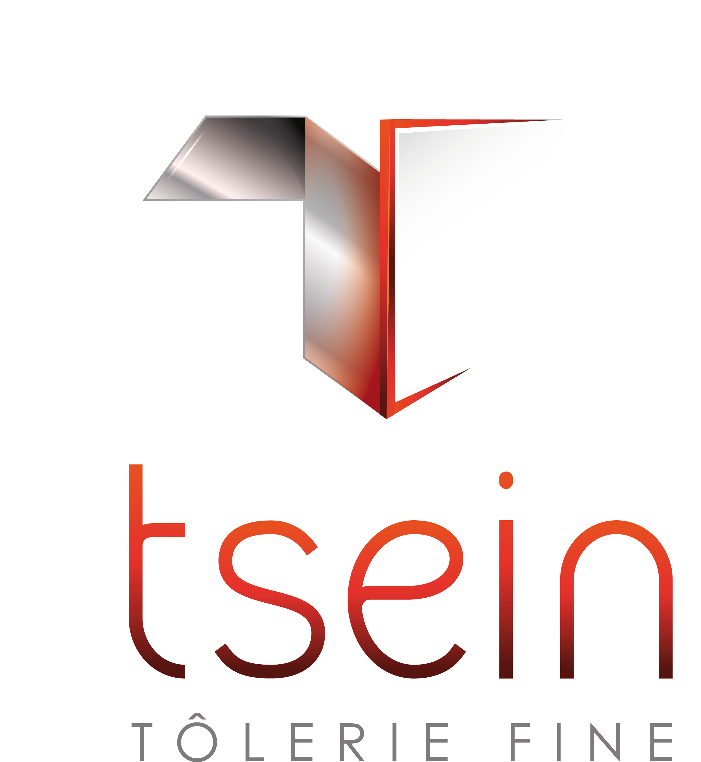 logo tsein